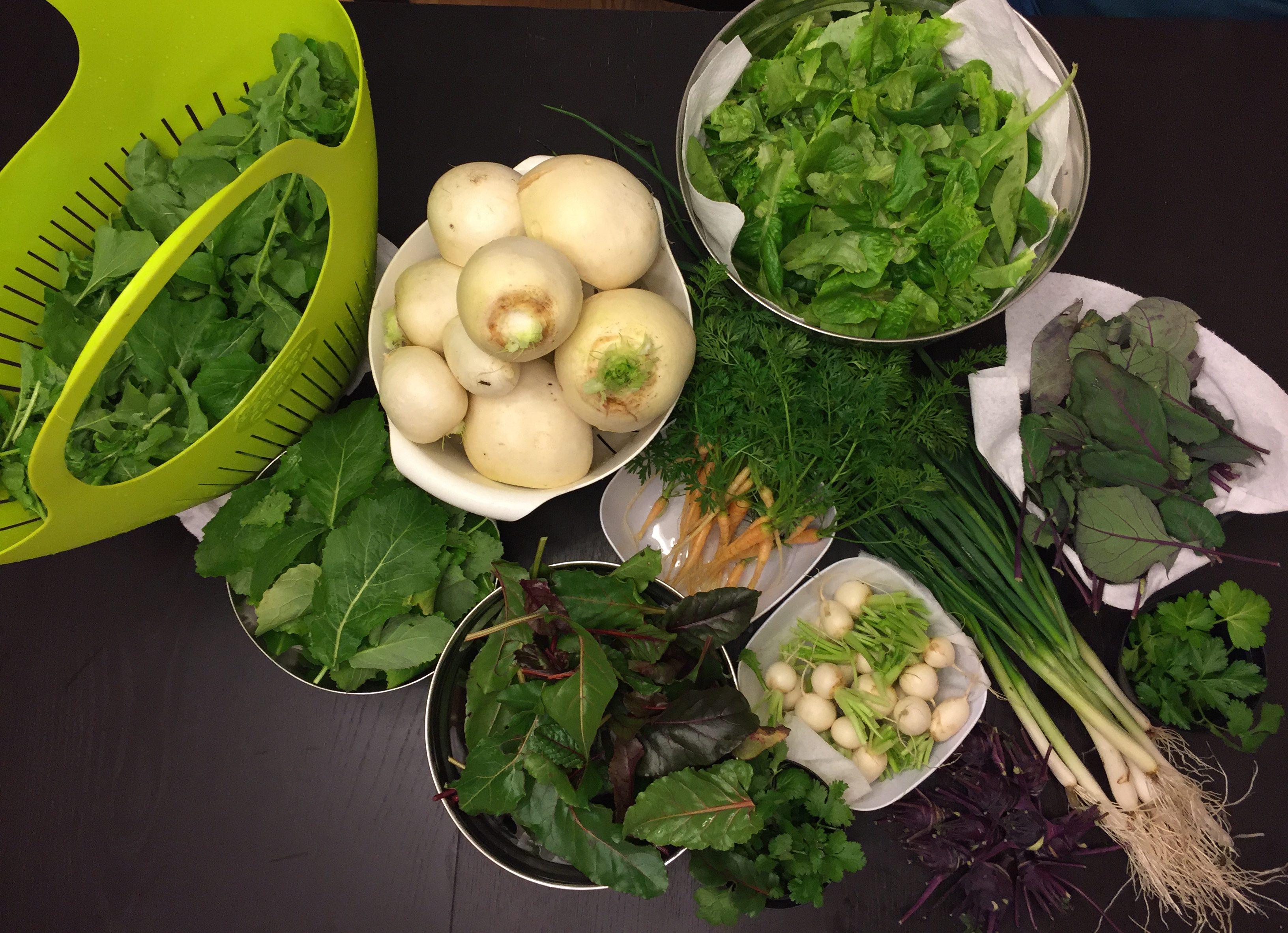 Last Harvest, First Harvest